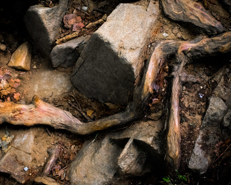 Great Falls MD Trail 001