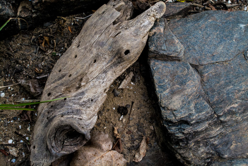 Great Falls MD Trail 001