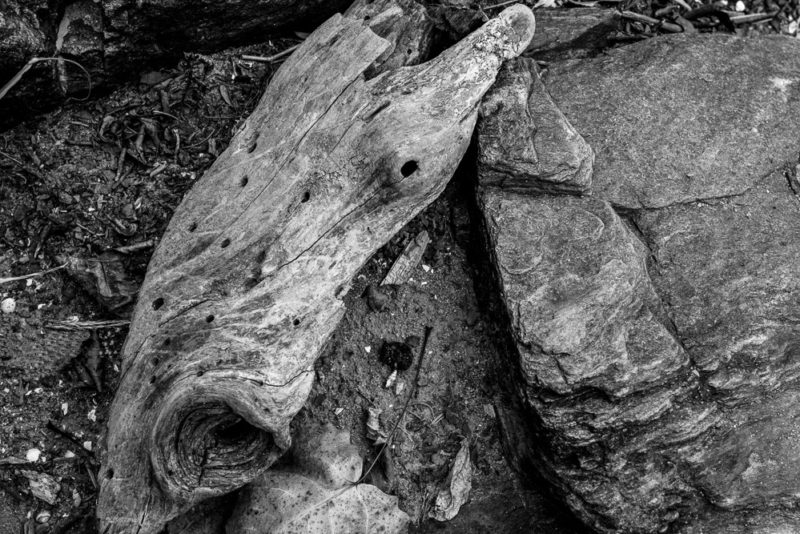 Great Falls MD Trail 001