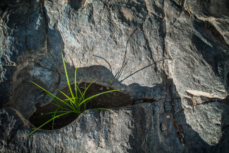 Great Falls MD Trail 001