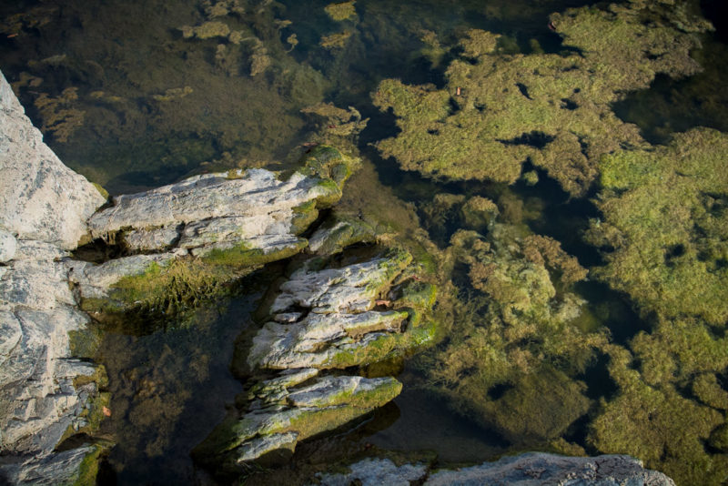 Great Falls MD Trail 001