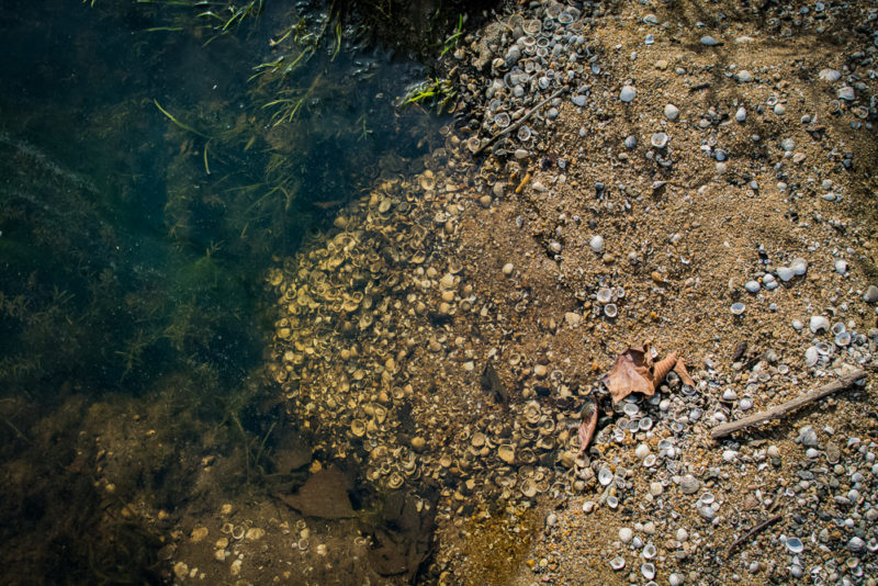 Great Falls MD Trail 001