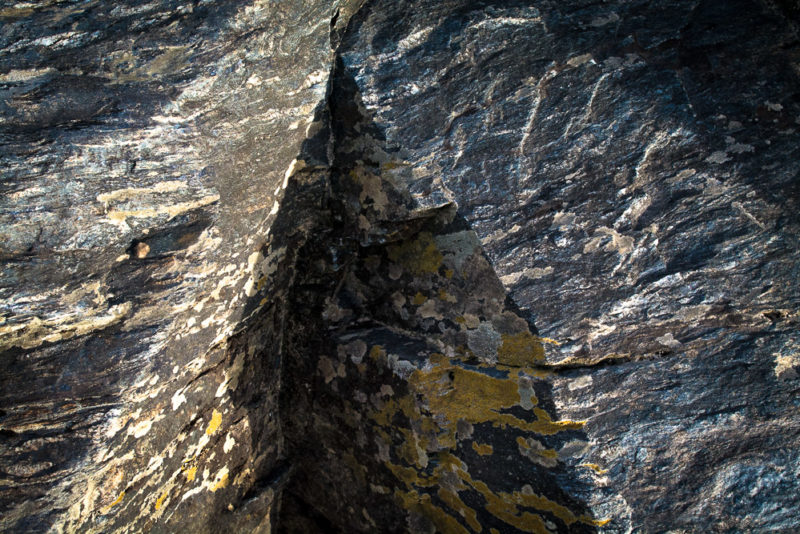 Great Falls MD Trail 001